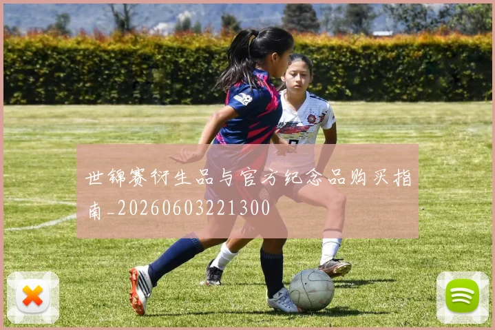 世锦赛衍生品与官方纪念品购买指南_20260603221300