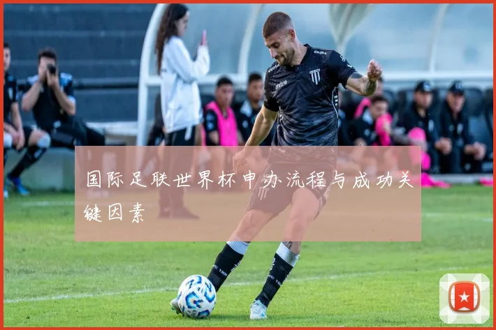 国际足联世界杯申办流程与成功关键因素
